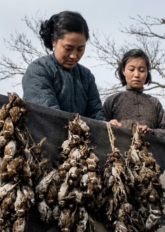 1958年，除四害运动中，两位女性，在户外合力扶着一根长杆，杆上密密麻麻悬挂着成