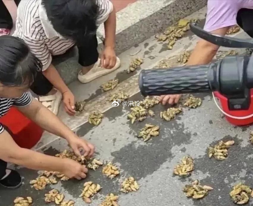这种富裕程度让我眼红
