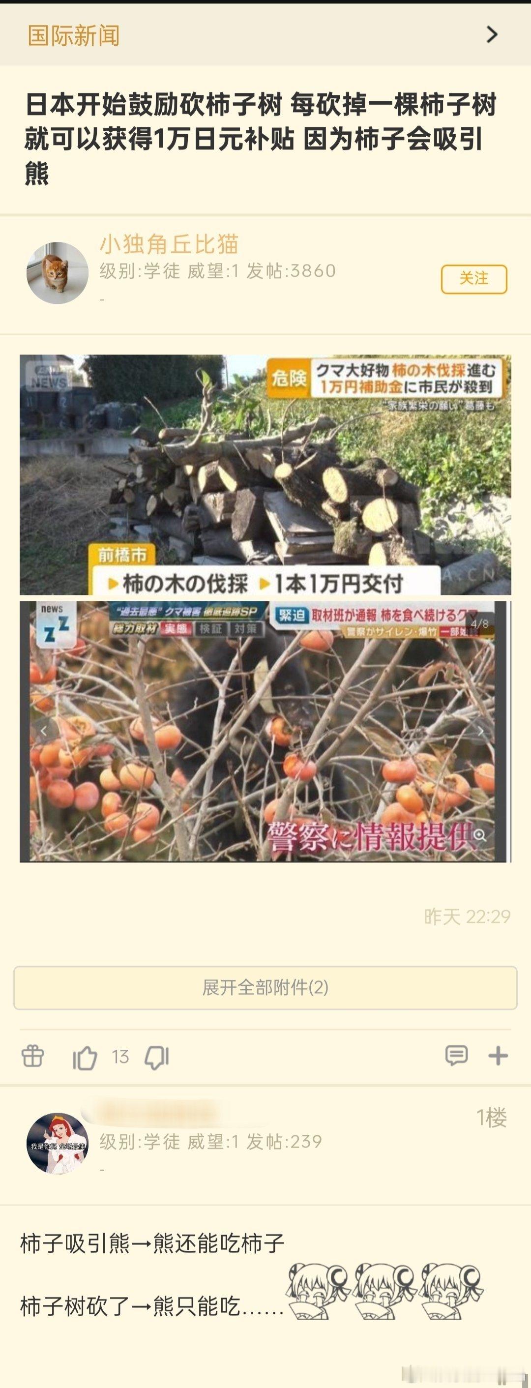 猎一头熊才给几千日元，砍颗树就给1万日元，那我总算是知道为啥日本会闹熊灾了。