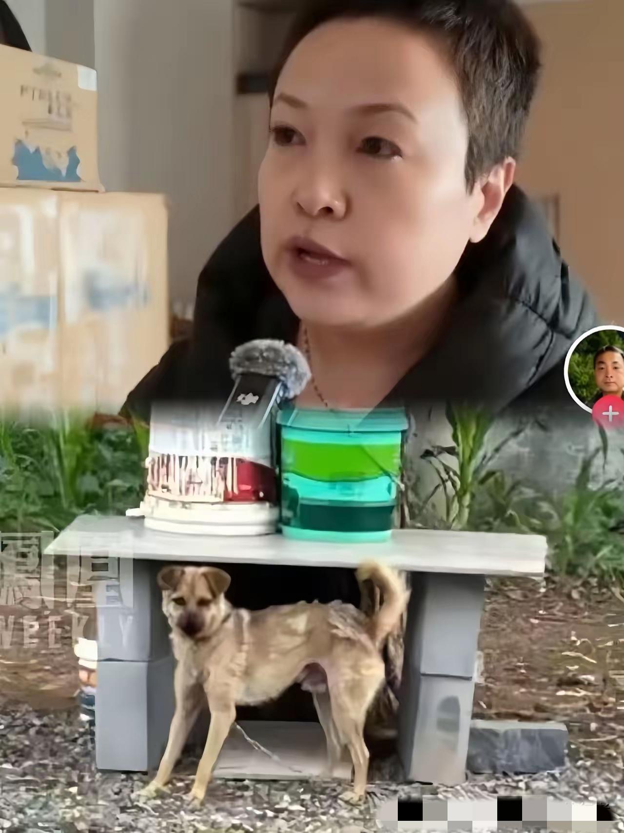 长治狗咬人案的死者郭勇刚，是被妹妹郭女士杀死的吗？网友们的讨论热火朝天。