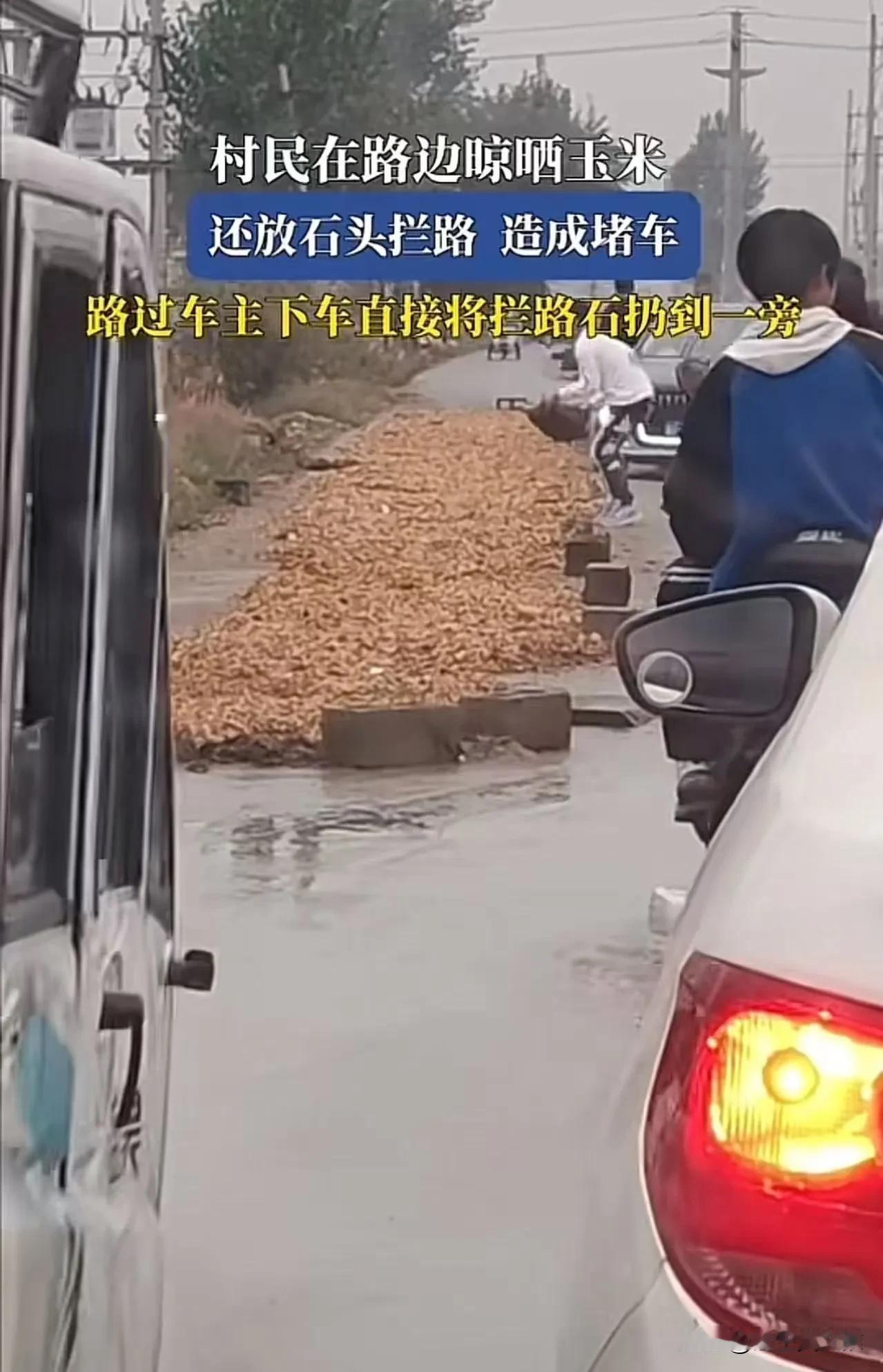这条乡村的水泥路，成了农民们“临时的玉米晒场”，看似简单的画面，却反射出一段深藏