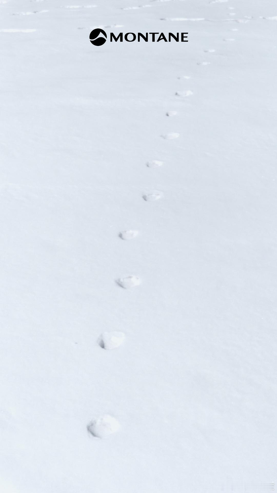 初见以为是龙爪印🐾🐾🐾