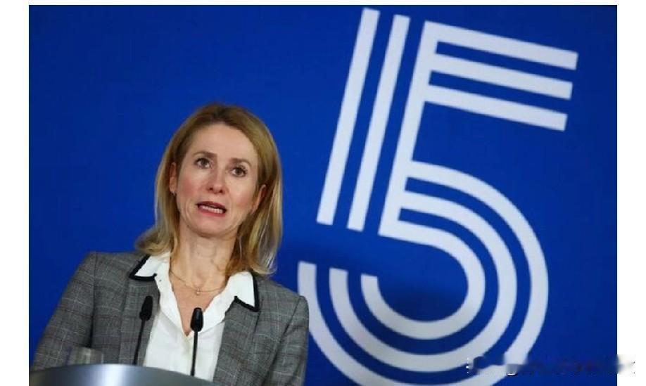 欧盟部长称，乌克兰人，欧洲人必须支持任何结束战争的计划！布鲁塞尔(路透社)——