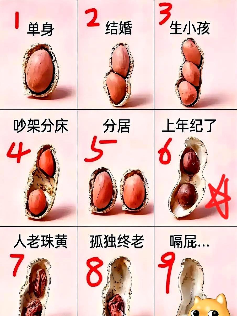 午休刷到“几号人格”的心理测试时，一句“对号入座，看看你是几号，跟不跟我一样？”