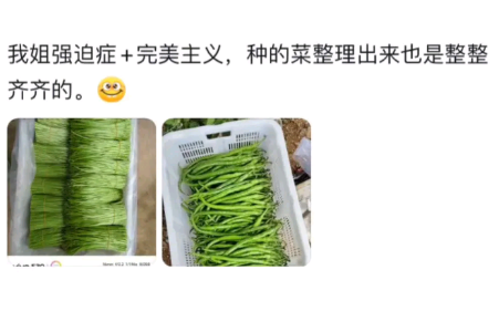 不得不拿出昨天上班路上拍的