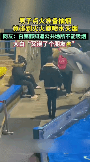 男子负责抽烟，白鲸负责灭烟……公共场合禁止吸烟！近日，一男子在白鲸表演馆等待一个