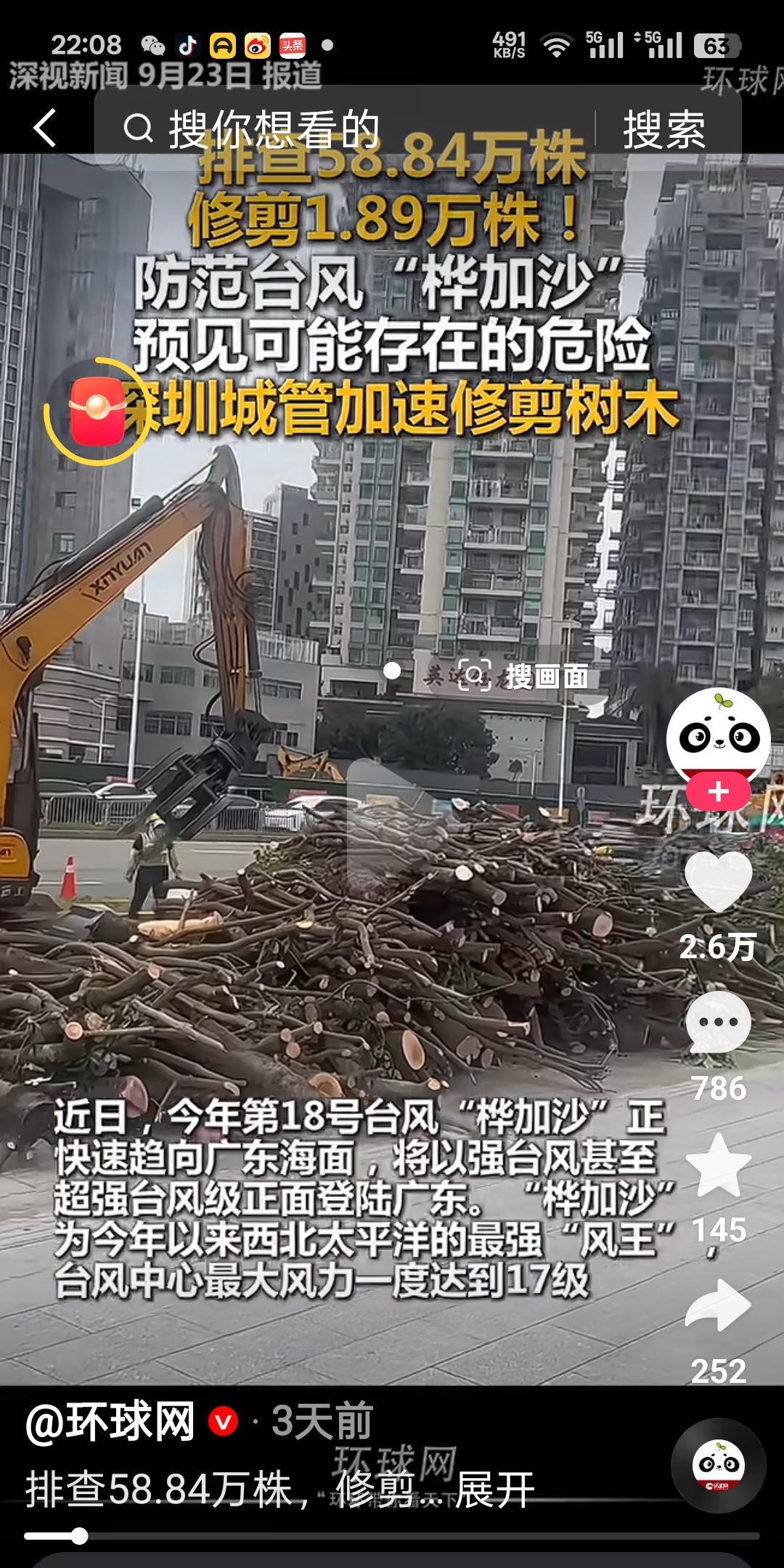 前几天，为了应付即将来临的台风，深圳多地区对很多存在安全隐患的树进行了修剪，截短