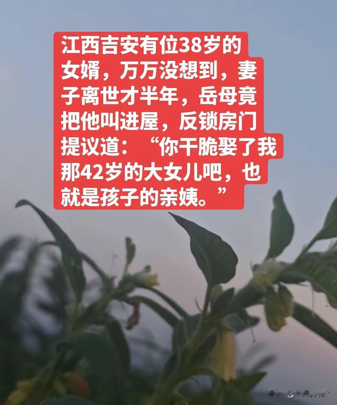 江西吉安一位38岁的女婿，妻子离世仅半年，岳母竟反锁房门提出惊人请求：“你娶了我