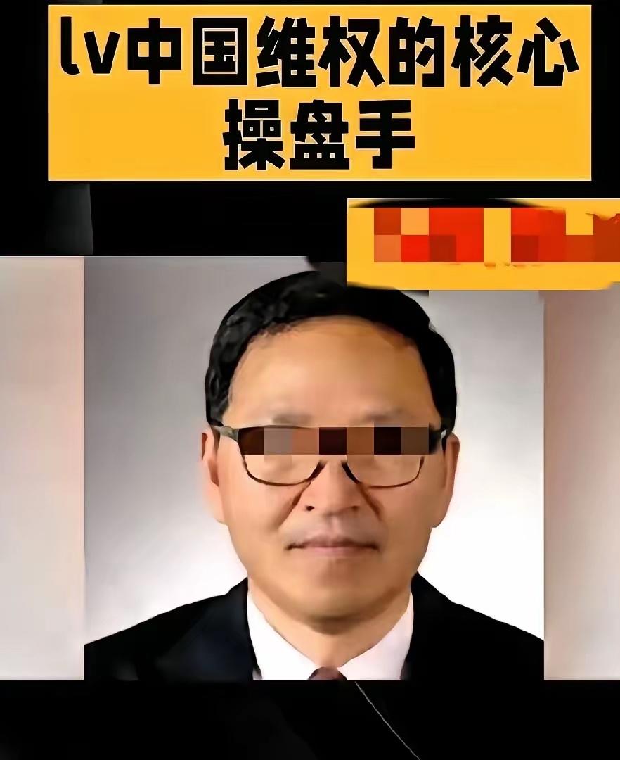他帮外企搞中国品牌，还觉得自己特干净。黎孟龙，国内名校毕业，现在专门替外企设专利
