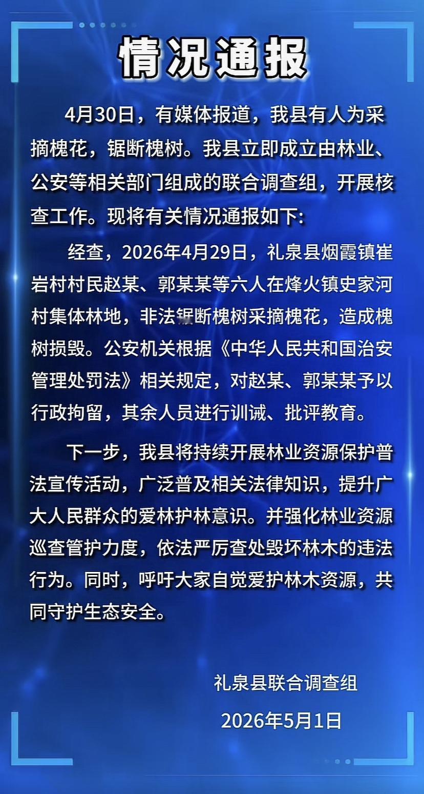 陕西礼泉县发布情况通告！锯断树木摘槐花两人被行拘，多人被批评教育！4月29日