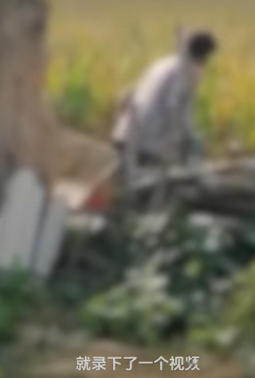 陕西榆林农村里发生的这起惨案，说起来真让人揪心，就因为几穗玉米，两条鲜活的人命没