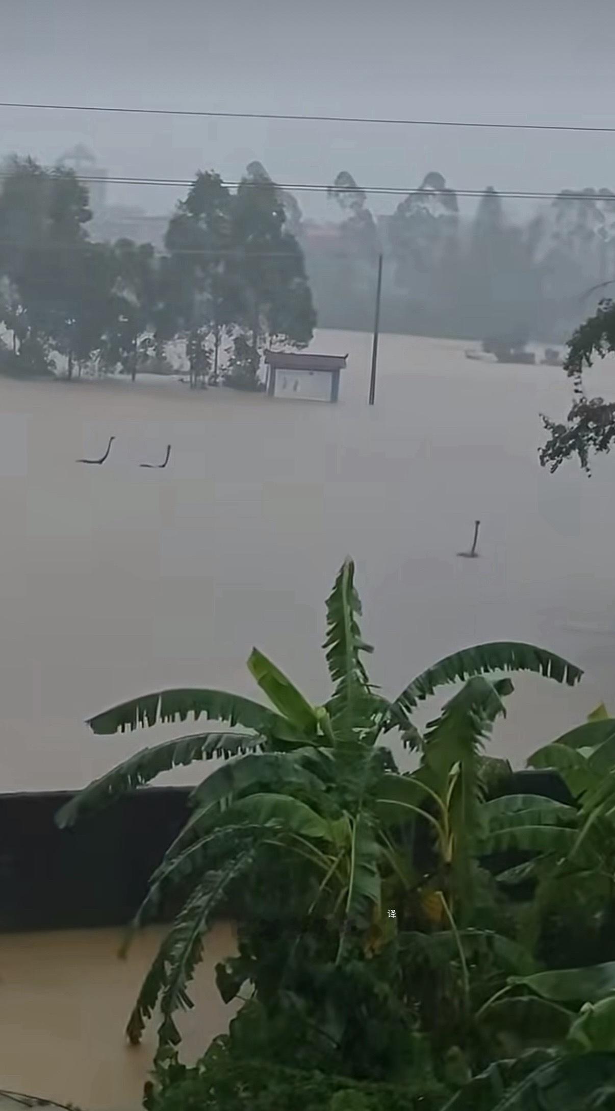 广西蛇场受台风“美莎克”影响，广西南宁横州市近日遭遇连续强降雨。昨天（7月6日