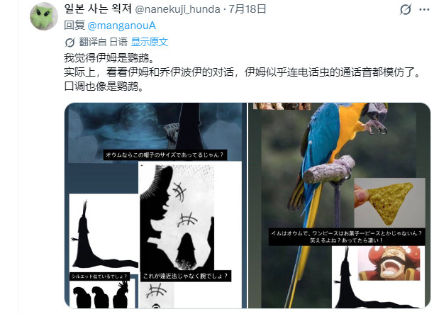 海贼王伊姆鹦鹉说，我看到这种说法开始是在B站看视频时候看到的。并没有在意后来在