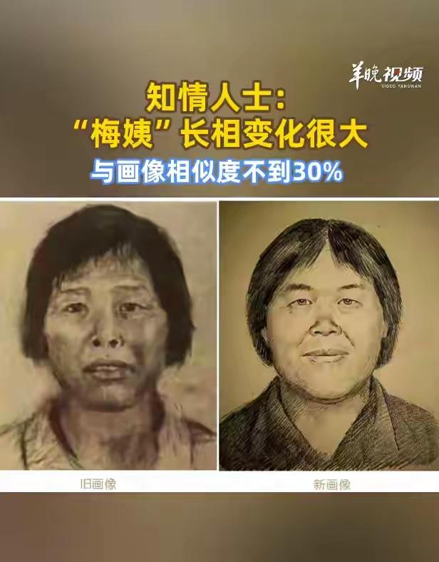 “梅姨”被捕了！全网等了十几年的事情，终于来了。臭名昭著的人贩子“梅姨”，终