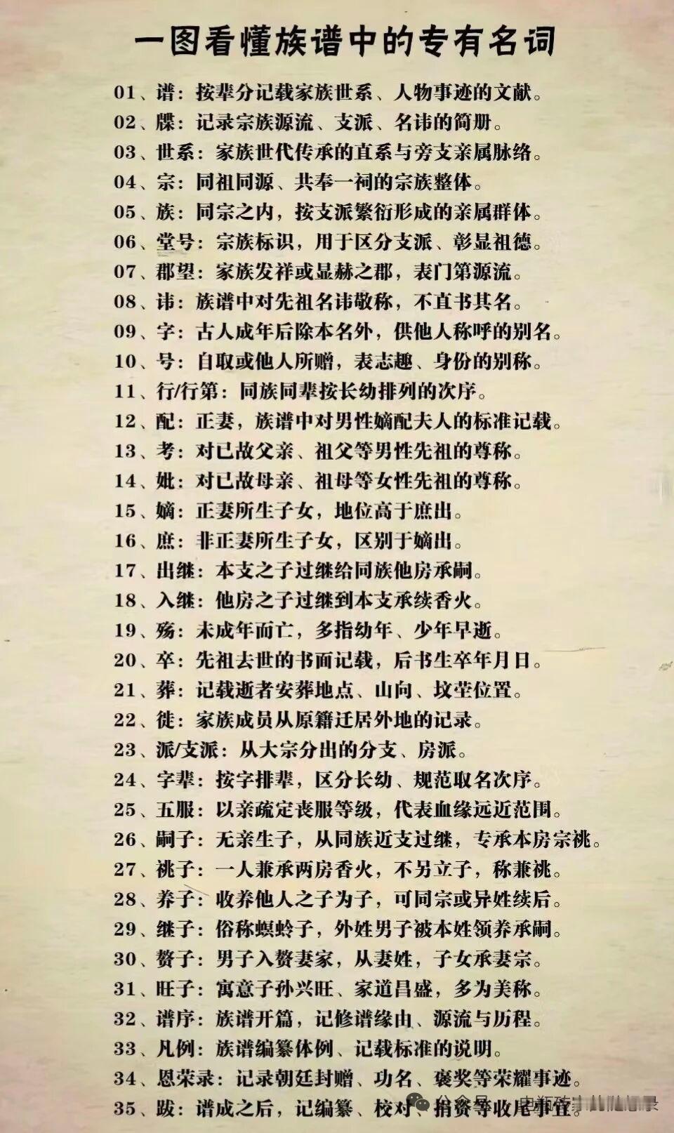 族谱里那些专用名词，就像一把把解锁家族历史的钥匙。比如“鼻祖”，指的是得姓始祖，