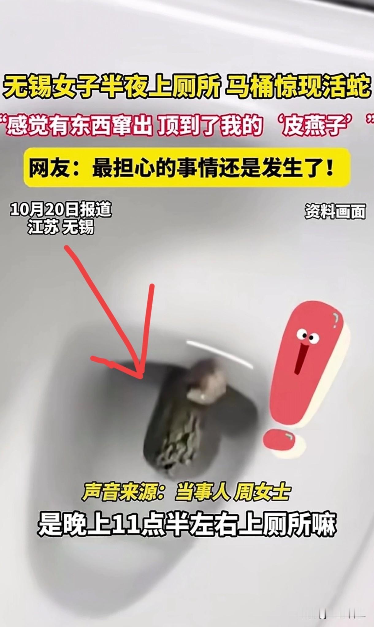 世界之大无奇不有，女子半夜在家上厕所，突然感觉马桶里有什么东西顶了一下自己，她站