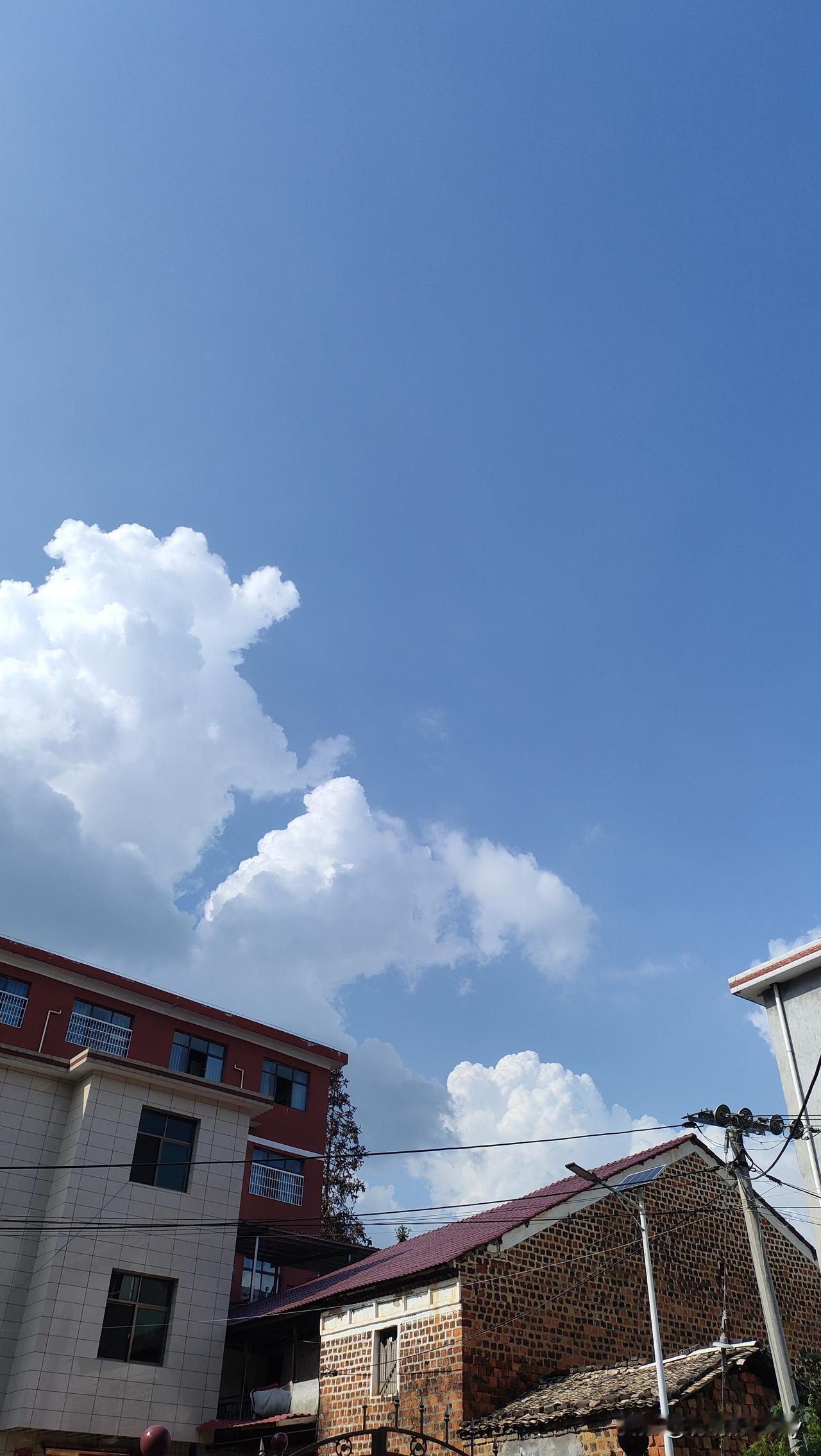 这是秋天的时候拍的，舍不得删除