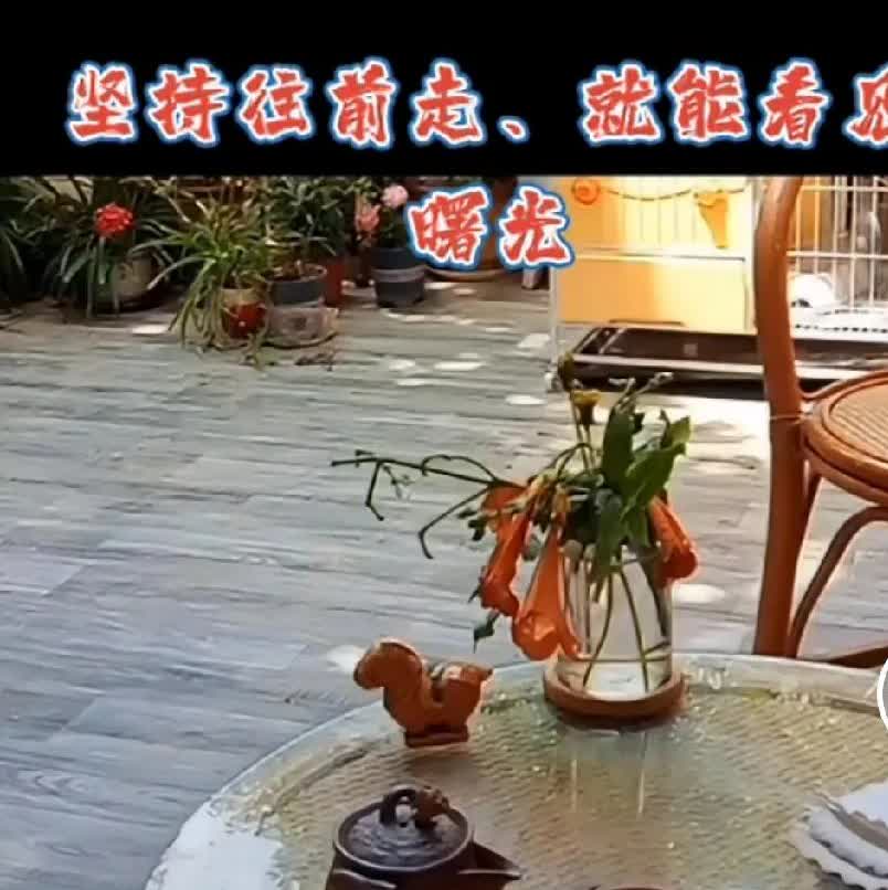 柴桑大姐直播间说，谁不想开会，你要知道关于那个52是被他们霸占的，我们更希望开会