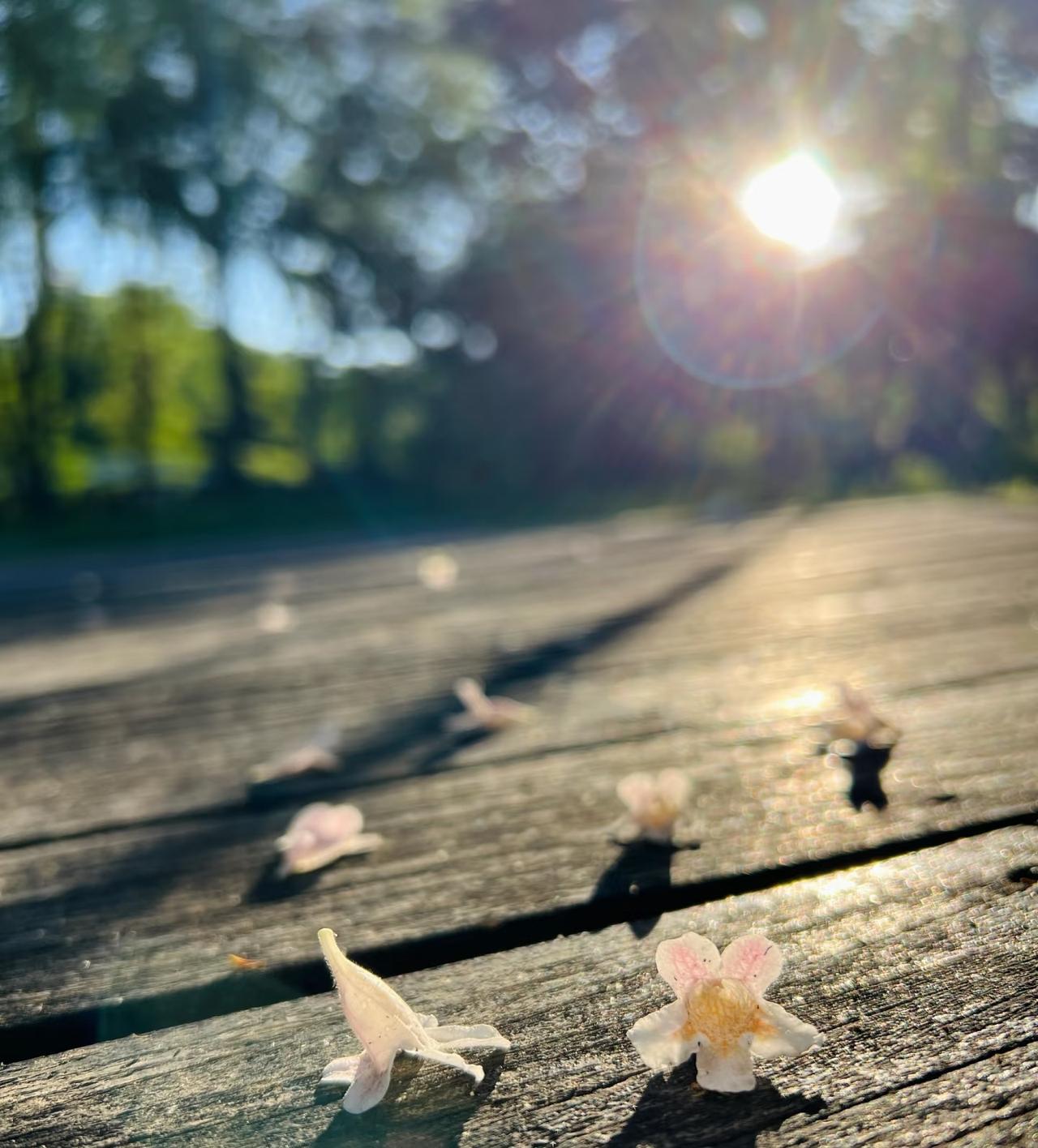 表妹给我讲的一件真实的事情。她认识的一个女孩才二十出头岁,却查出了白血病。一家