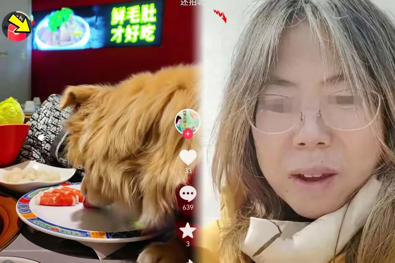 一盘肉，估计得几十几万，就是因为她的缺德，让狗，人同餐，惹出这么大的事情。这种