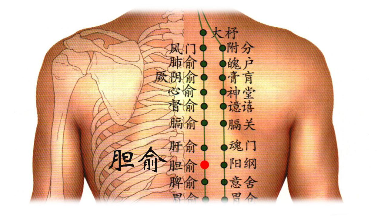 得了胆囊炎要怎么调理? 别急, 健康哥告诉你解除方法