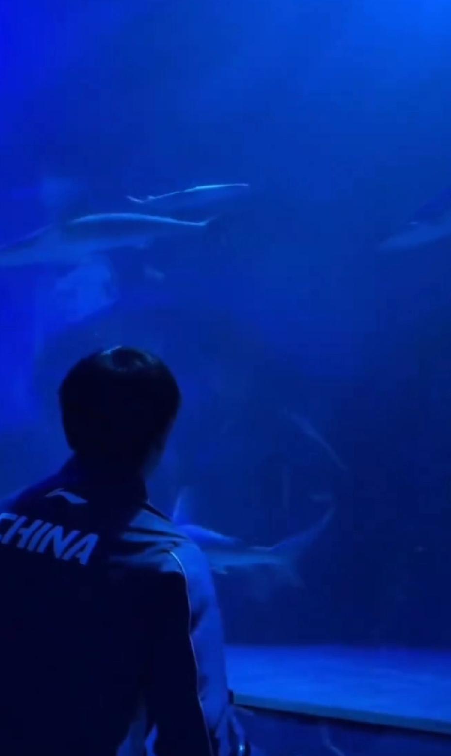 这一次，他和他的答案一起来了在狮城海洋馆，留下美好瞬间小莎也在记录，平时训练