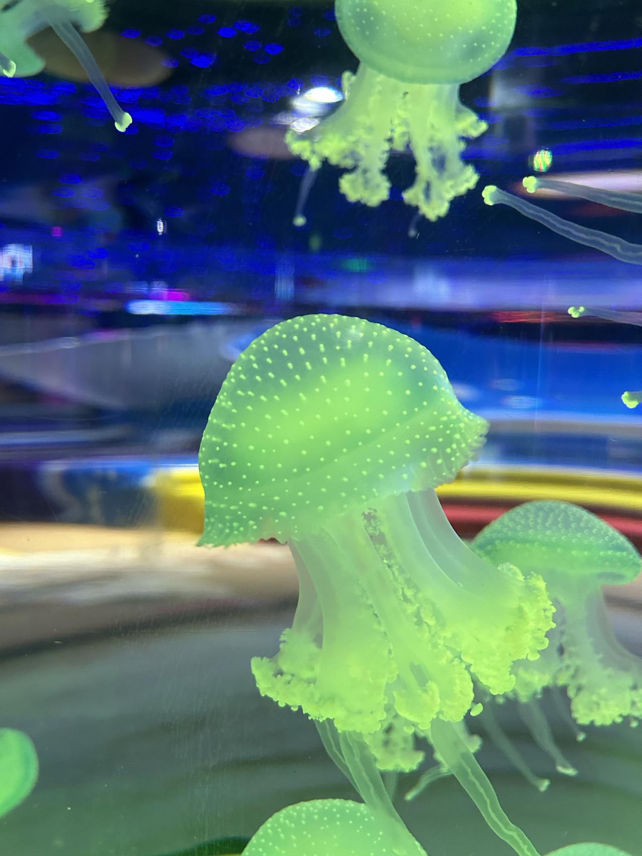 人这一辈子，3件事，烂肚子里！真的，越活越明白：有些事，真不能往外说孩