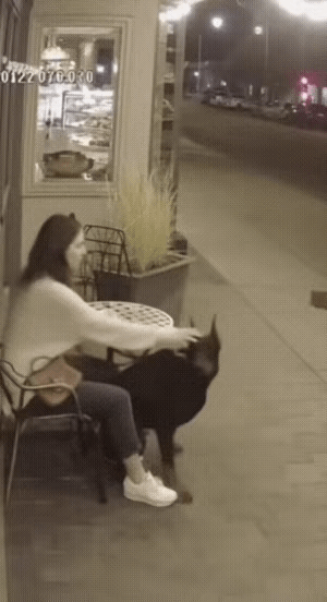 神操作，狗狗突然转头咬了女子一下，女子立马转身，保住了自己的双腿。