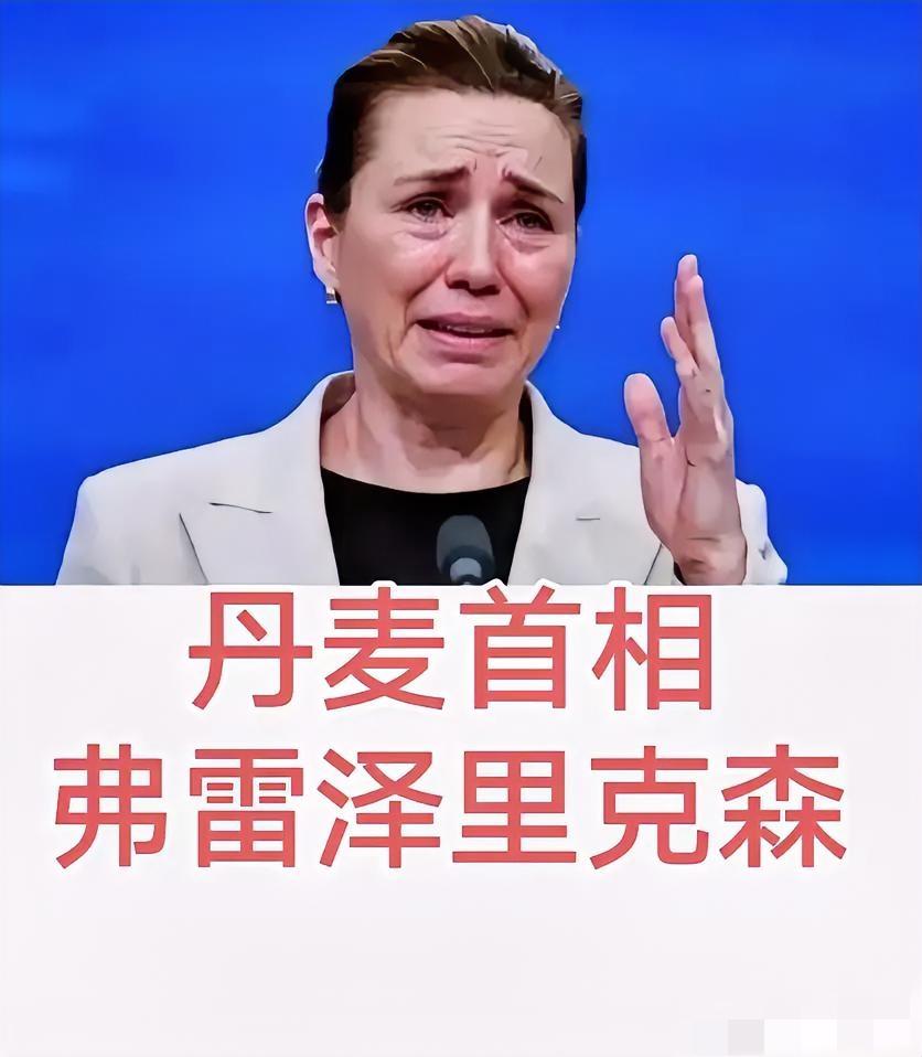 丹麦首相哭丧着脸的样子，真没啥好同情的——这纯属搬起石头砸自己的脚！身为欧