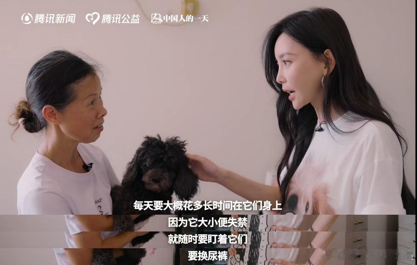 #于文文呼吁不要残忍抛弃宠物#凛冬降临，流浪动物要对抗饥饿与严寒，于文文体验志愿者工作，看见生命的无