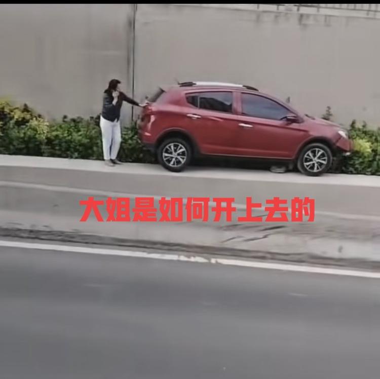 大家都在问，大姐究竟是如何把车开上去的。台阶那么高，旁边还有一堵墙，车开上去后不