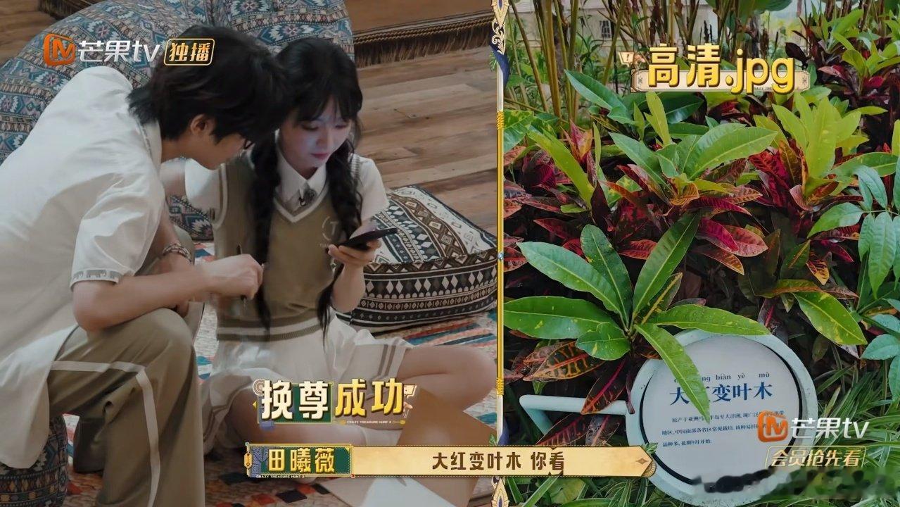 谁来管管田曦薇的拍照技术长这么好看可惜不会拍照，随手一拍不是脸歪就是腿短，白白浪