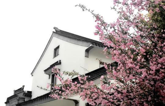 说实话，大部分人的一辈子都挺没劲的。年轻时为了孩子操劳，省吃俭用把最好的都留