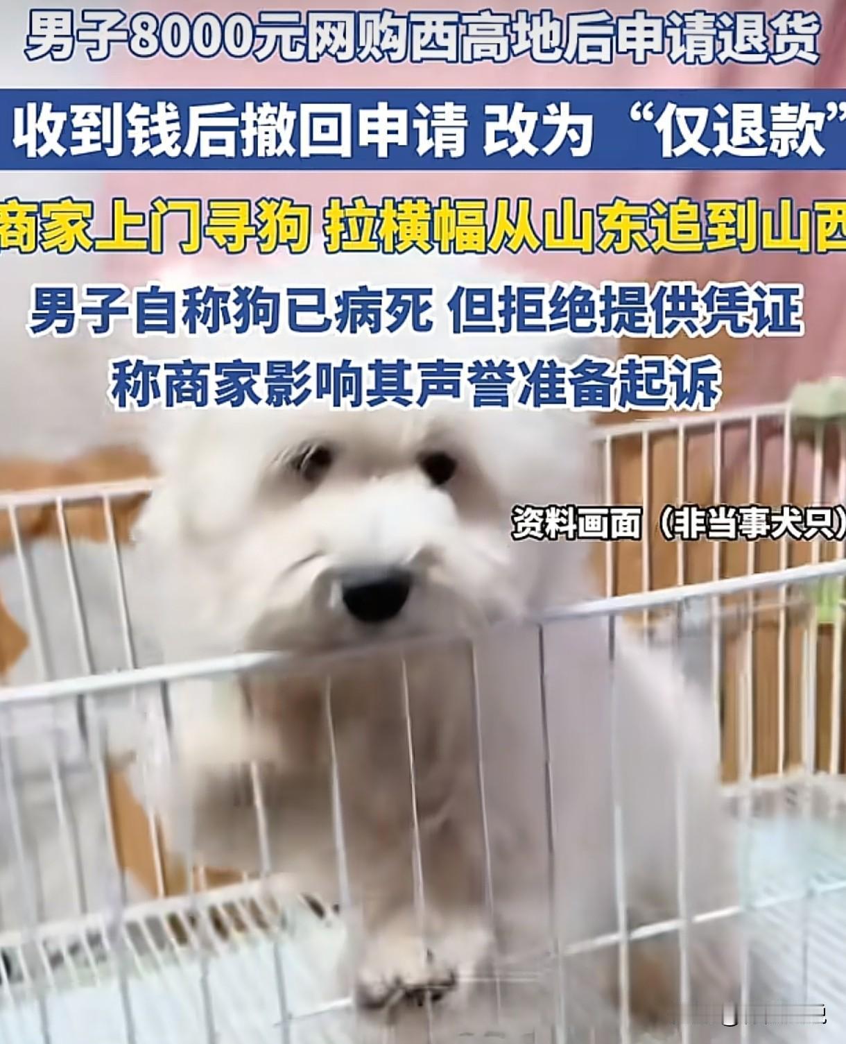 女子卖了一只8000元的宠物狗给一男子，6天后，对方称狗生病了，申请了退货退款。