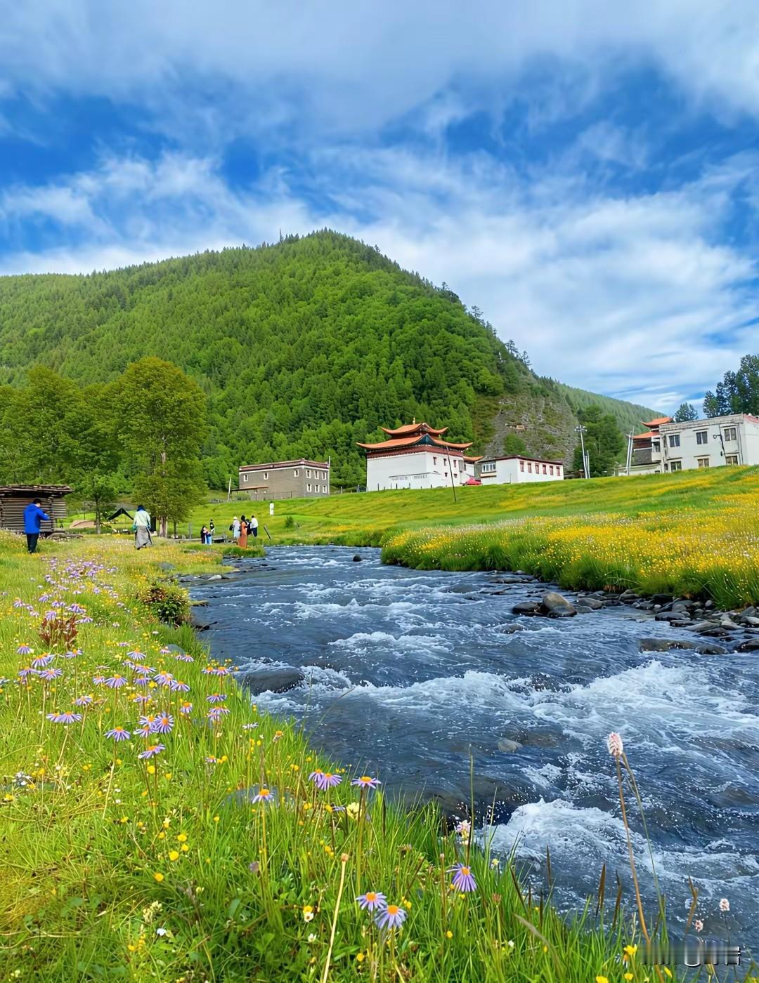 春天养生3个笨办法，不用花钱、简单有效一、早睡半小时，比吃补品管用春