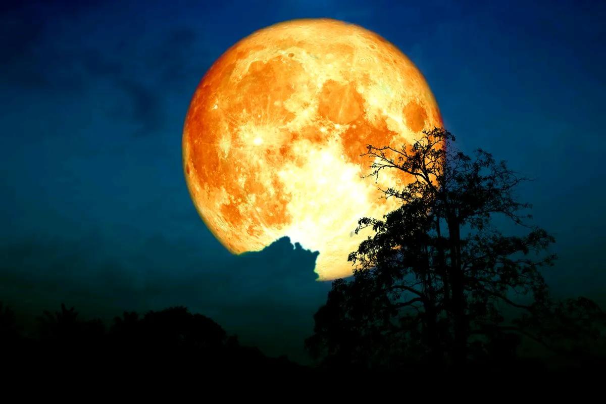 俗话说十五的月亮十六圆，这不？本年度最大满月即将亮相，时间就在今晚的21点19分