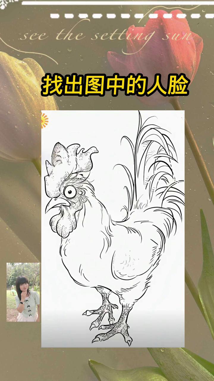 找出图中的人脸。据说这张脸极其隐蔽，一万人里只有一个人能一眼找到，找不到太正常