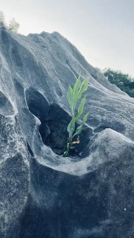 一位心理学家说：“生理上能够把男人喂饱的女人，是好女人。桌上能够把男人喂好的女人