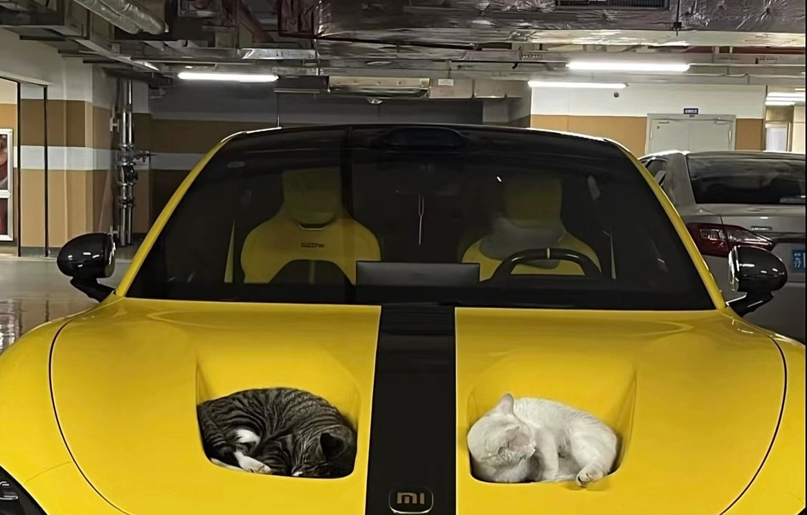 小米SU7UItra这个挖空设计猫咪们也是蛮喜欢的🐈‍⬛🐈​​​