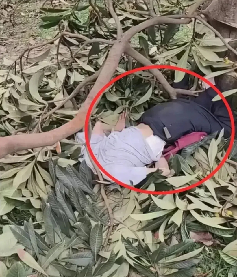 成都“枇杷血案”，太不值！四川成都出事儿了，就为十几块钱一斤的枇杷，酿成惨