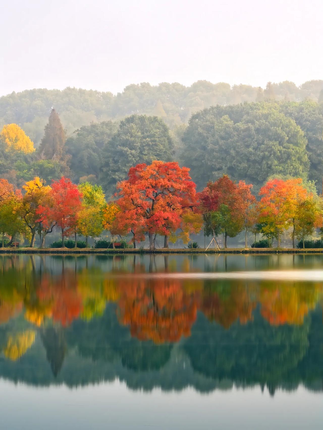 从班级38名到南京一中初三上学期期末，南京某中学的林同学数学62分、物理58分