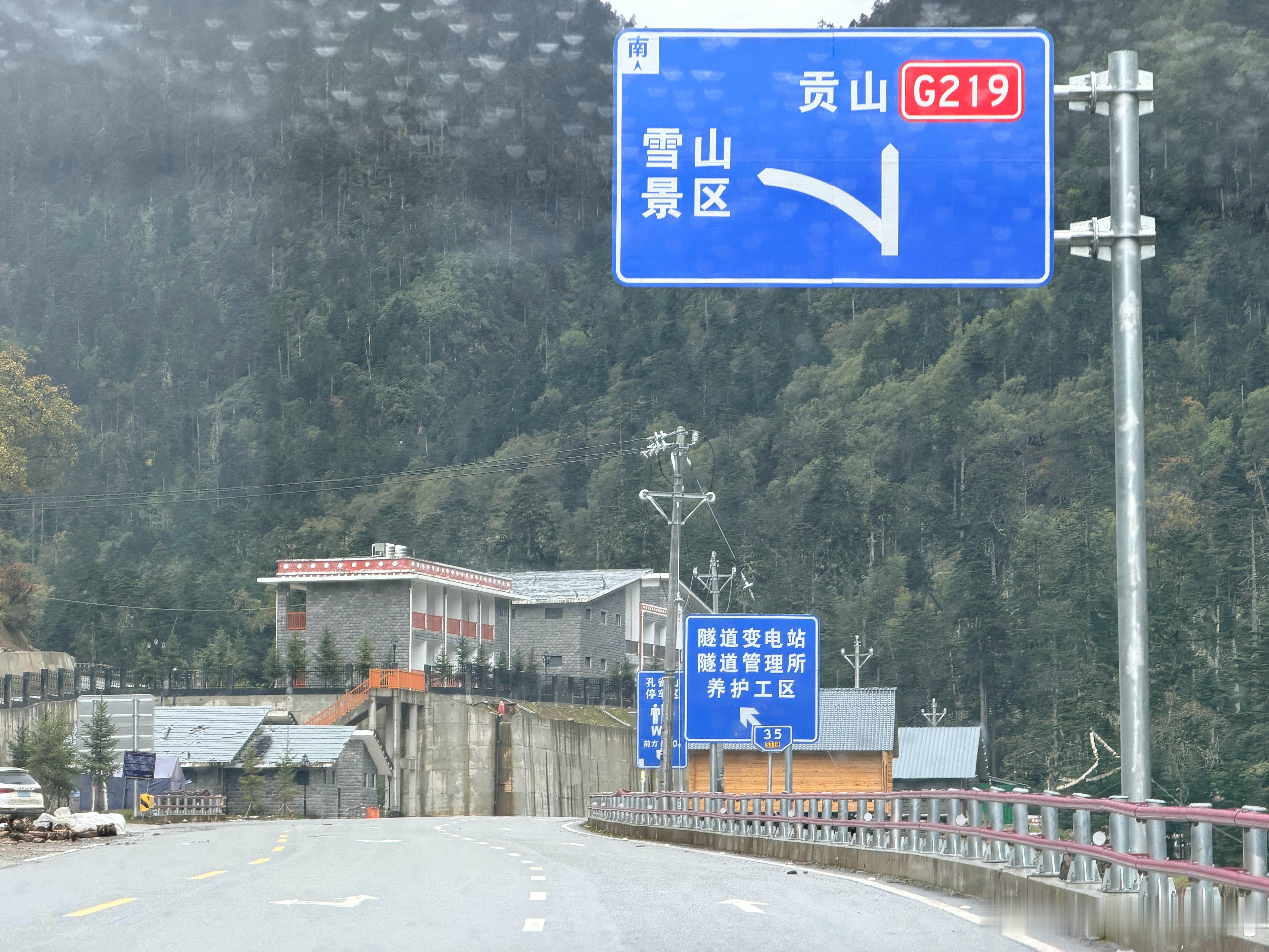 太遗憾了好喜欢孔雀山这里的植被还想着上到山顶无人机