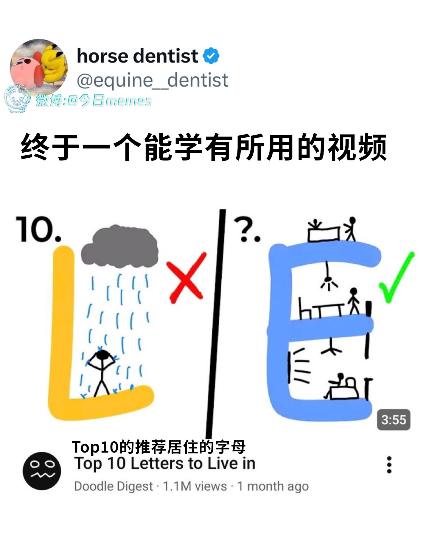 选D（9gag）今日meme今日memes