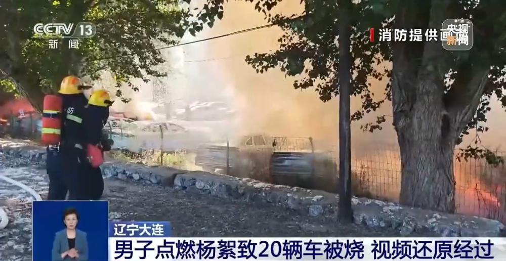 男子点燃杨絮致20辆车被烧该如何定责? 专家解读