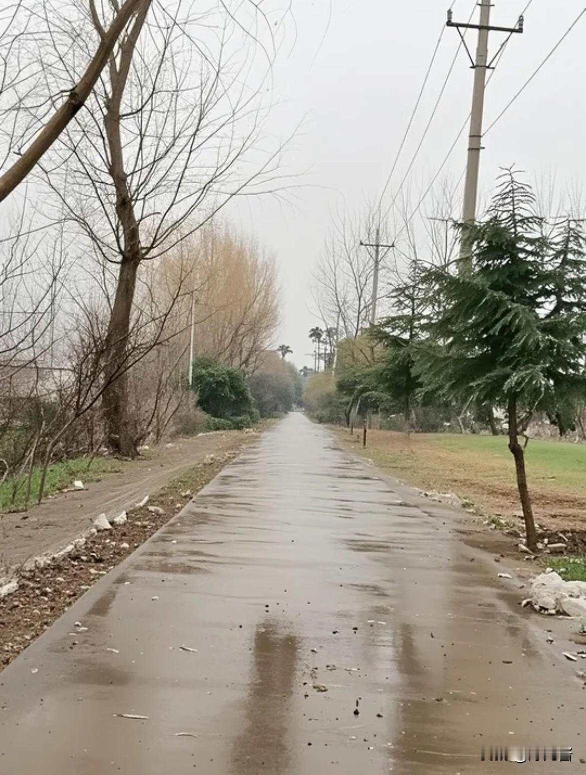 李家的事，村里都传开了，大家都说这是报应。李家男人年轻时当包工头，心黑得很。那