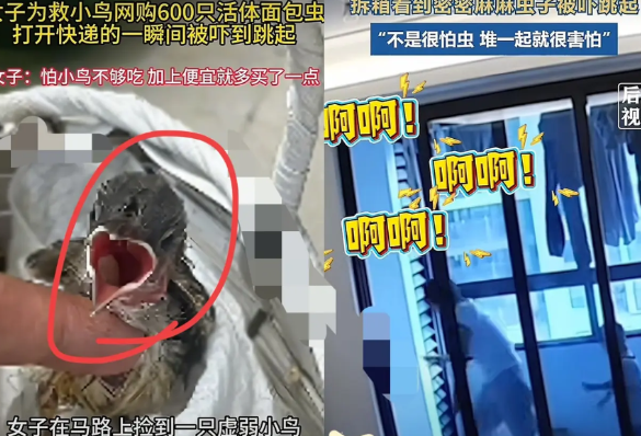 “笑不活了！”浙江一女子，路边瞅见只蔫儿得快不行的小鸟，心想着准是饿坏了，赶紧抱
