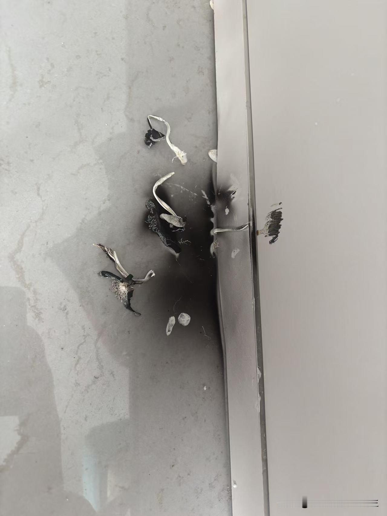 新家刚装修好3个多月了，一直在通风散味中，却突然又被水泡了，柜子板居然还长出了蘑
