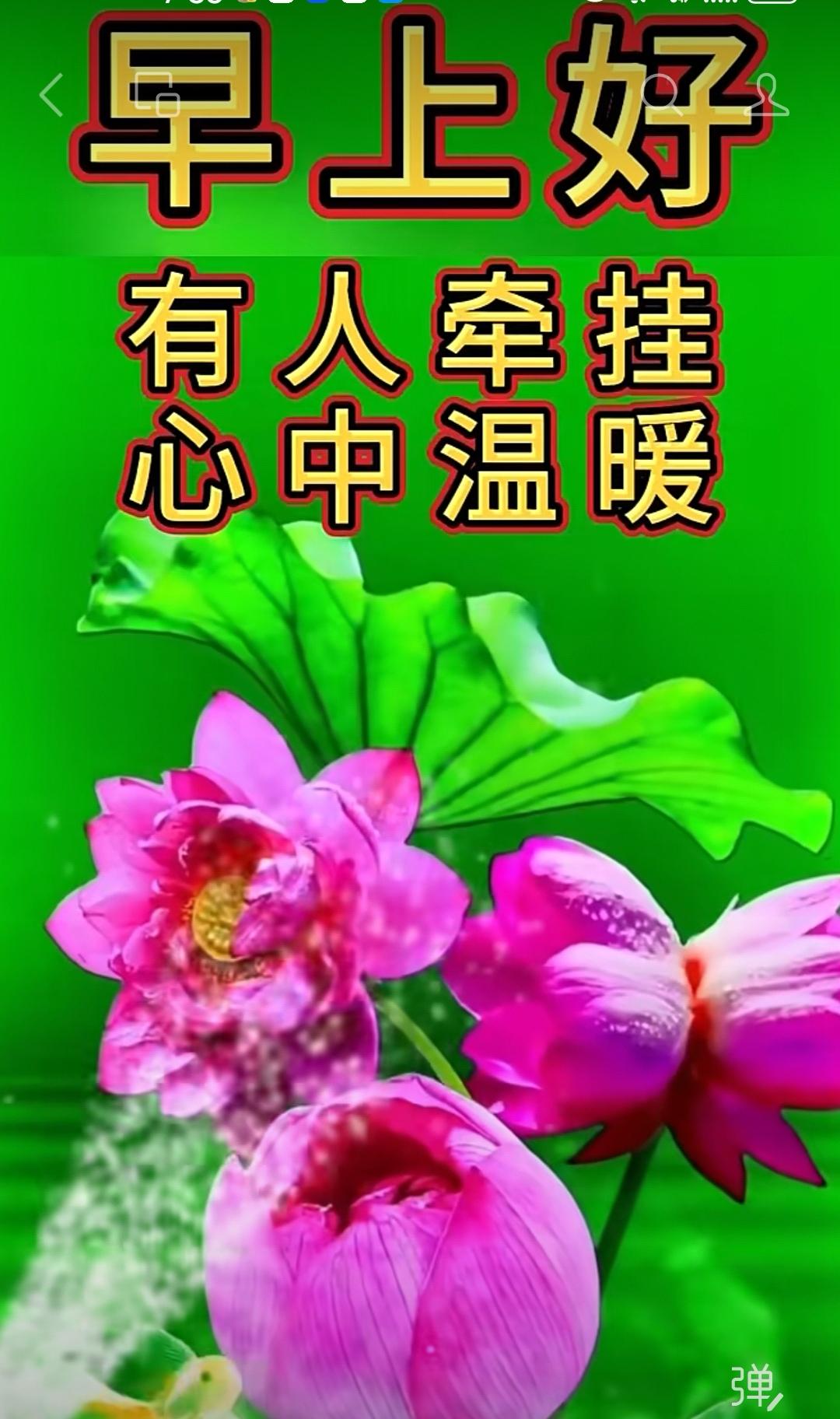 人生歲月幾十年，有苦有累也有甜；風華正茂是叢前，老來健康最值錢；善待自己