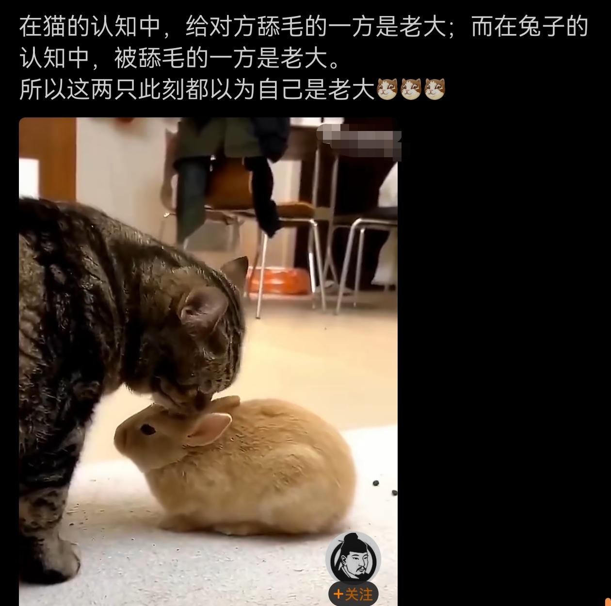 双方都觉得自己赢了，真是双赢了。