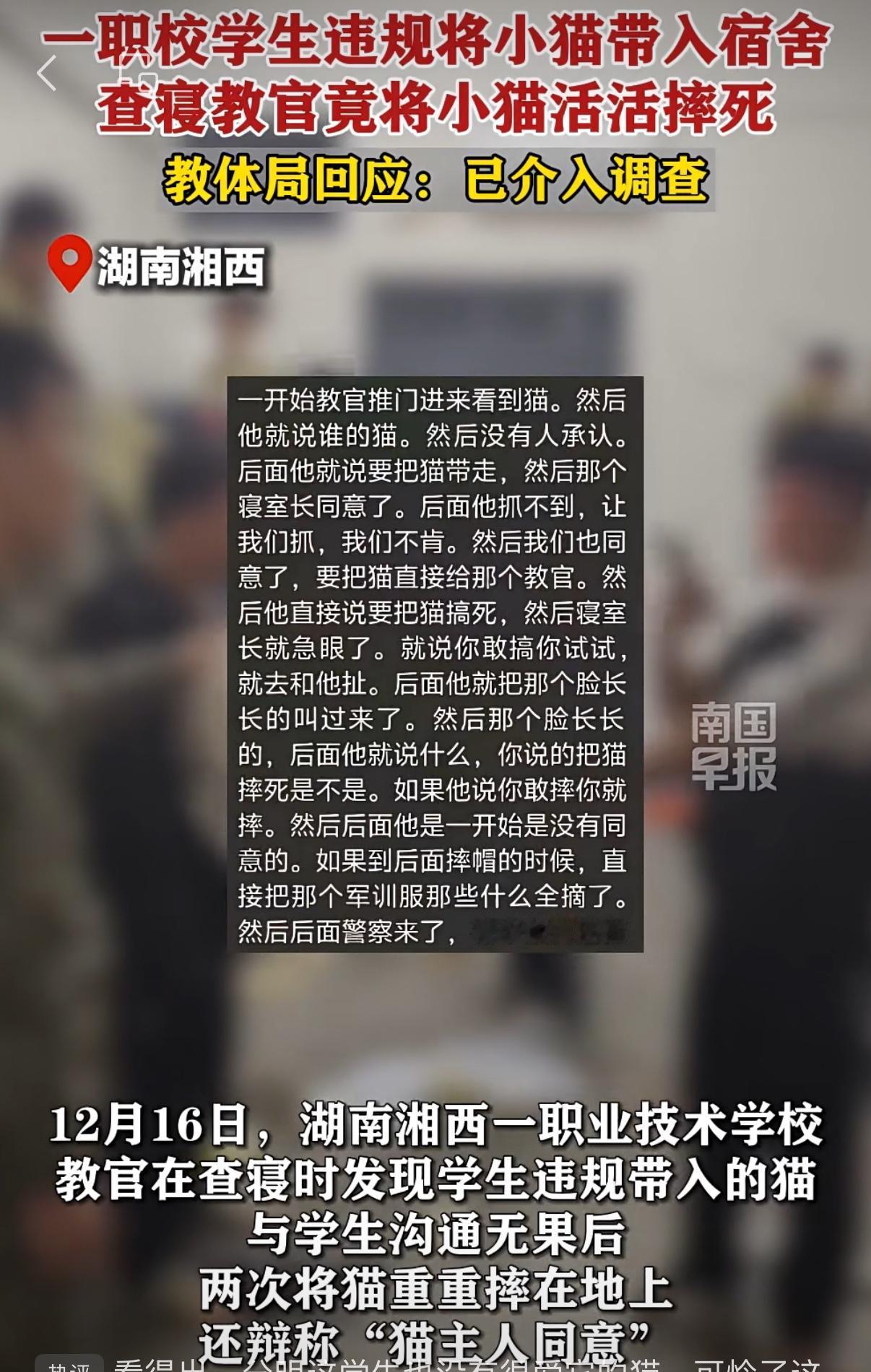 残忍！职校教官查寝，竟当学生面活活摔死幼猫！后续来了，教育局回应一条鲜活的小生